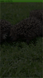 Mobile Screenshot of hedgehogs-northumbria.org.uk